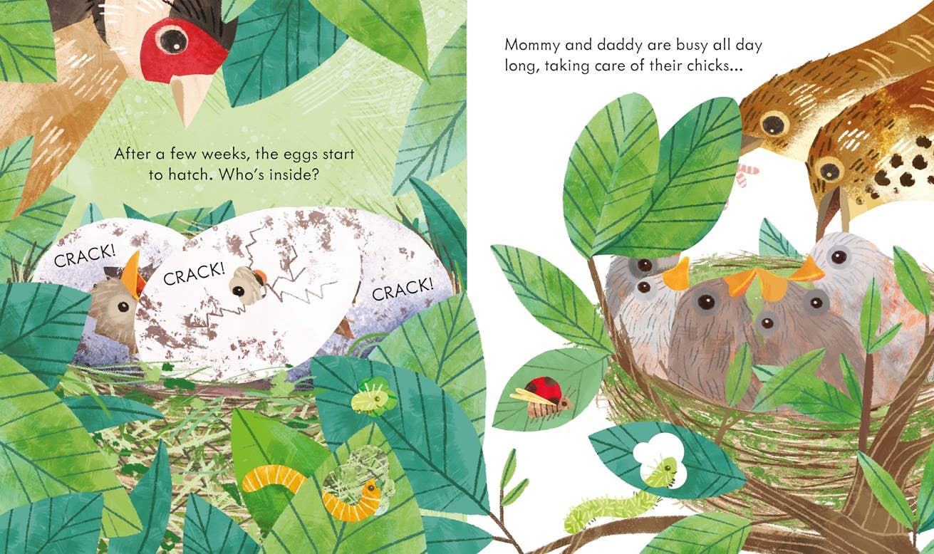 Peek Inside A Bird's Nest: Usborne