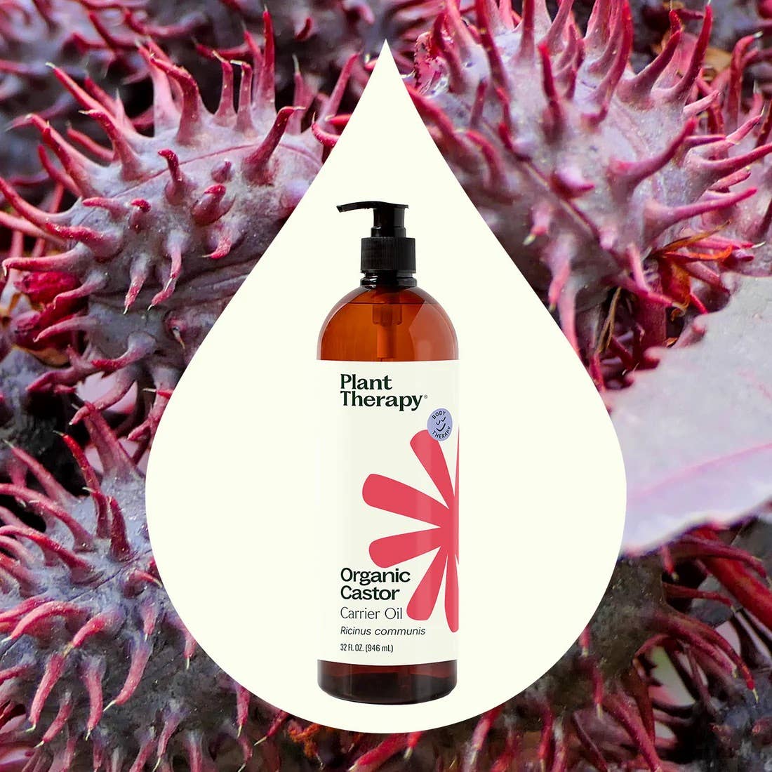 Organic Castor Oil 16 oz