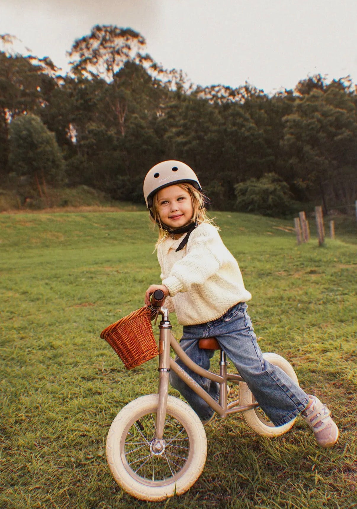 Baboon Classic Helmet