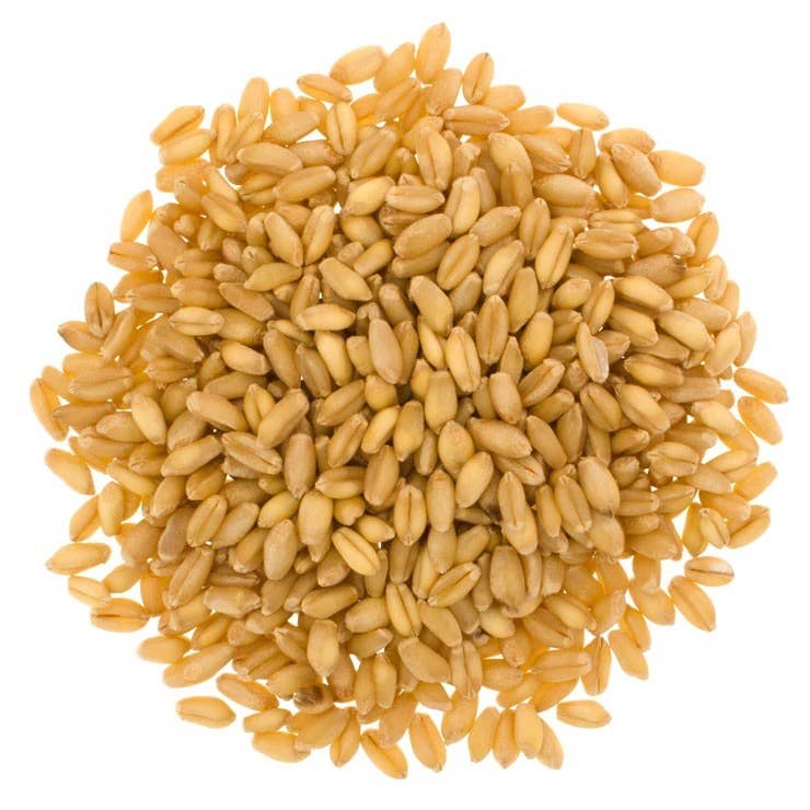 Soft White Wheat Berries
