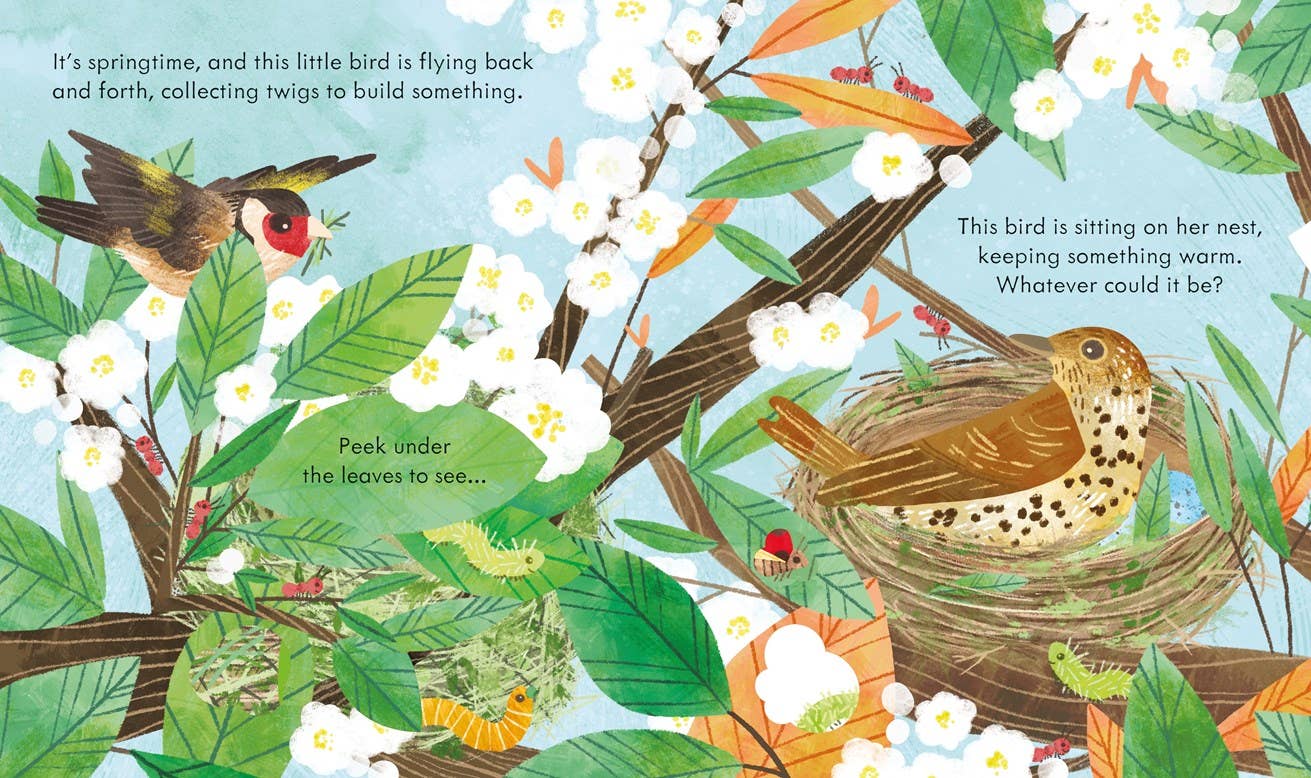 Peek Inside A Bird's Nest: Usborne