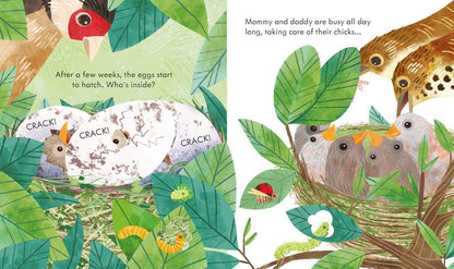 Peek Inside A Bird's Nest: Usborne