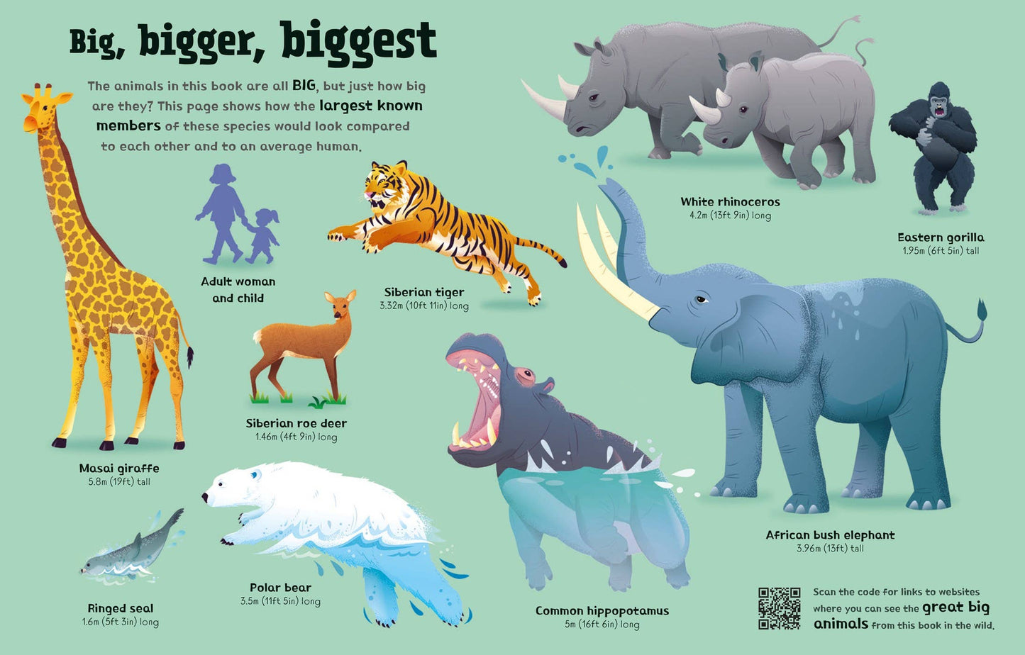 Great Big Animals board book with Big Flaps : Usborne