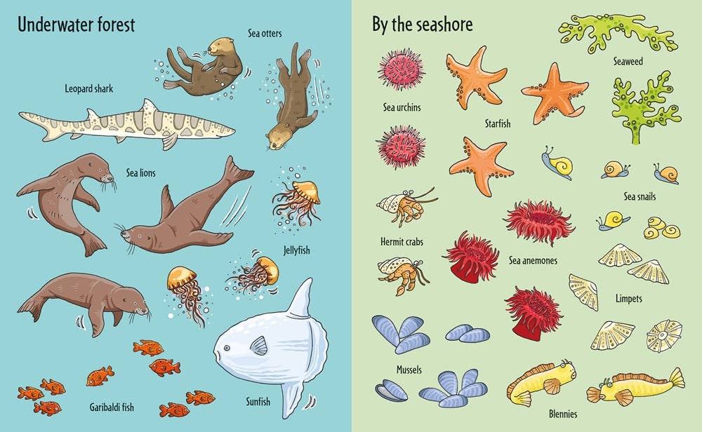 First Sticker Book Under The Sea : Usborne