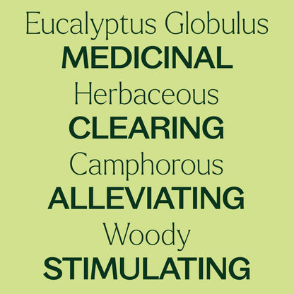 Organic Eucalyptus Globulus Essential Oil 100 mL