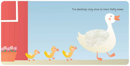 Farm Animals: My First Touch & Feel Book by