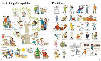 Big Book Of Spanish Words : Usborne