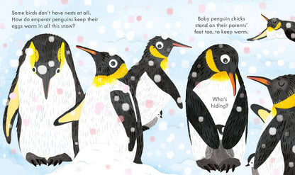 Peek Inside A Bird's Nest: Usborne
