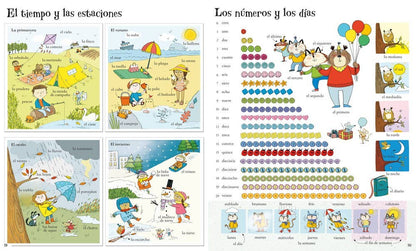 Big Book Of Spanish Words : Usborne