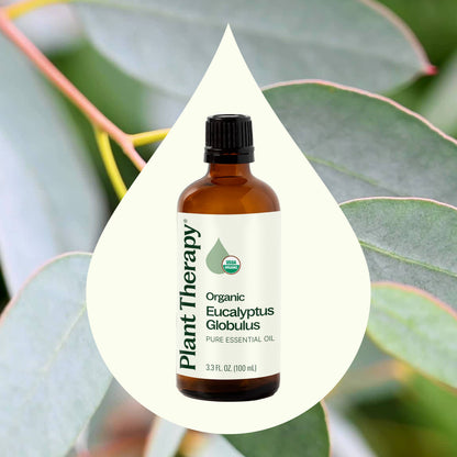 Organic Eucalyptus Globulus Essential Oil 100 mL