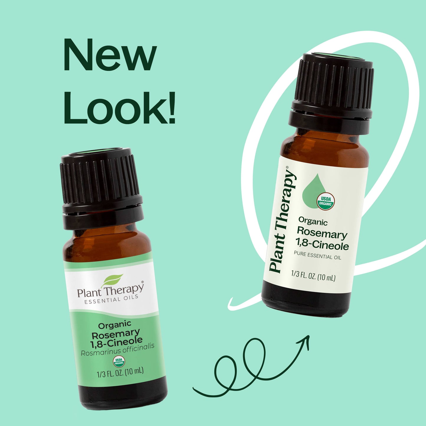 Organic Rosemary 1,8-Cineole Essential Oil 10 mL